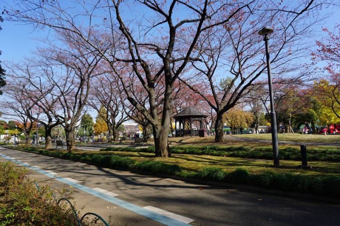 kitashikahamaｰPark_070