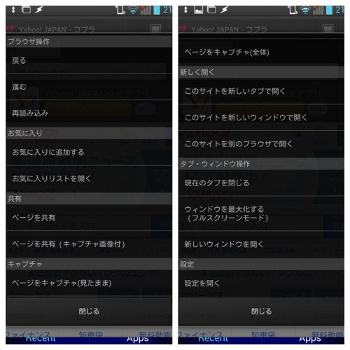 Browser-COBRA_5
