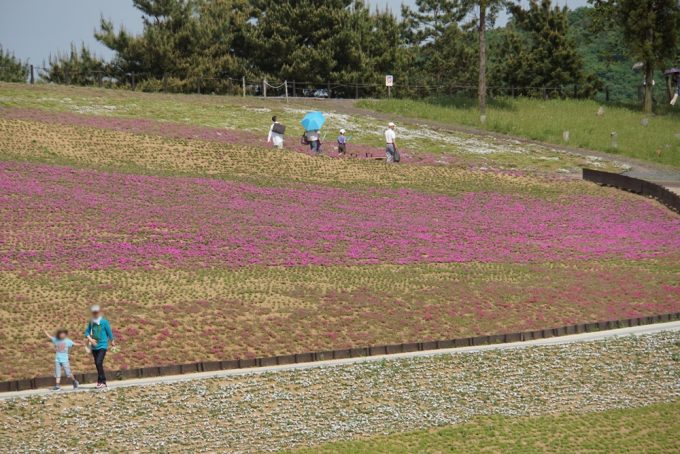 oota-hokubu-undou-park_5